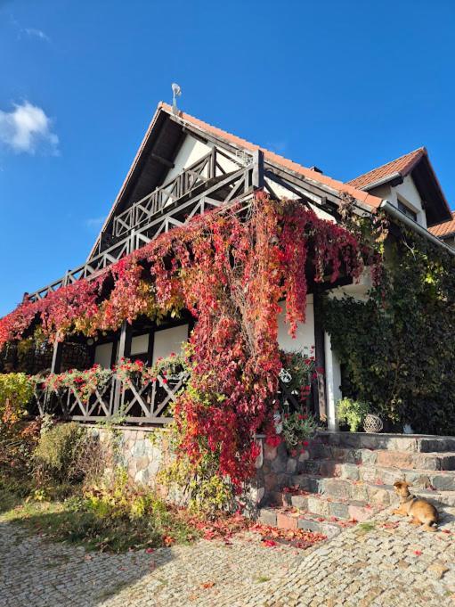 Pensjonat Rybaczowka - Noclegi, Restauracja, Port Bogaczewo  Exterior photo